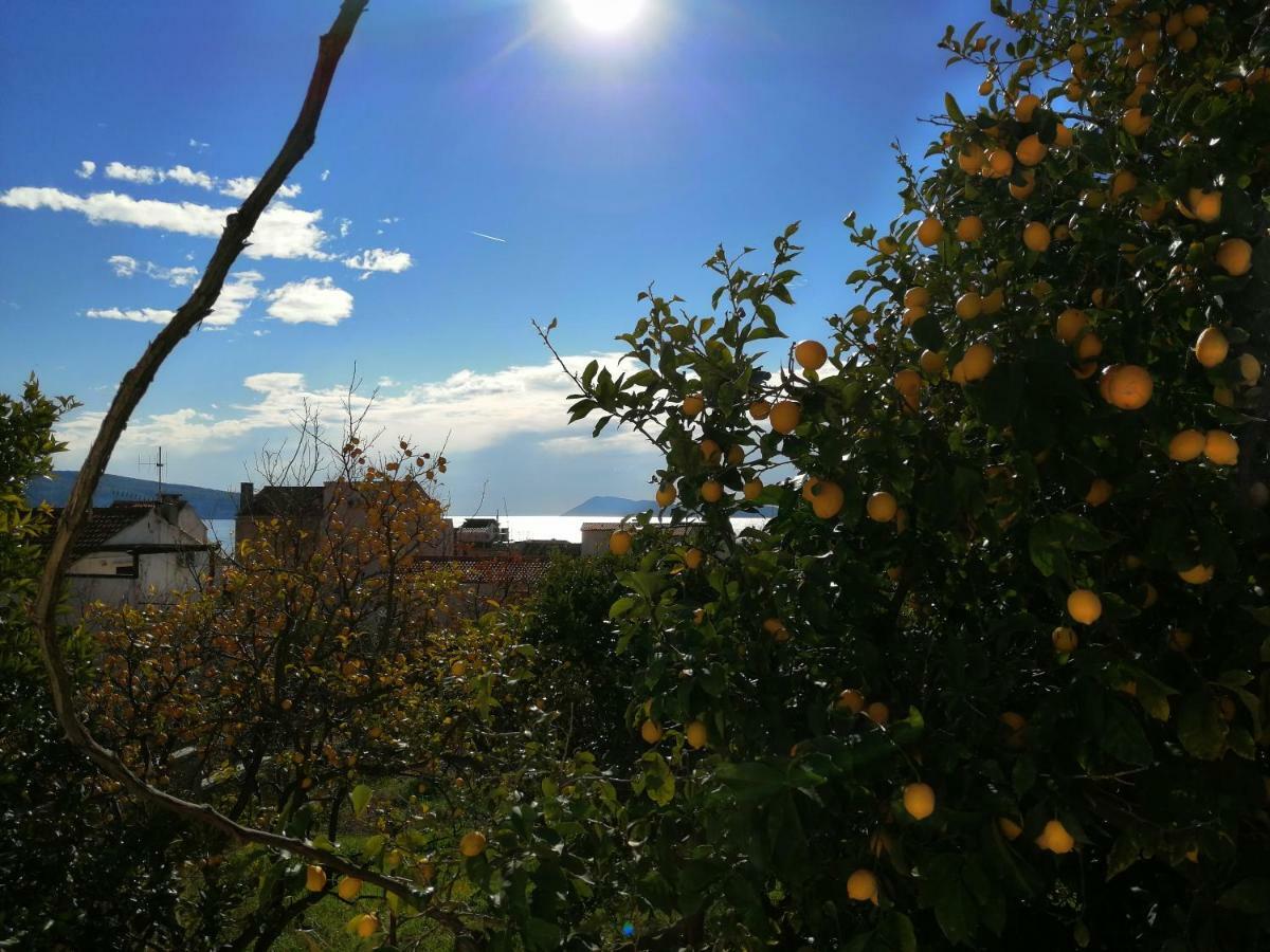 Apartment Marina Komiža Eksteriør billede